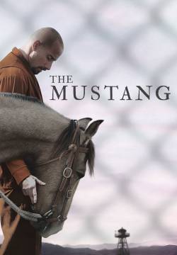 The Mustang (2019)