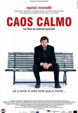 Caos calmo (2008)