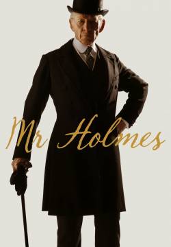 Mr. Holmes - Il mistero del caso irrisolto (2015)