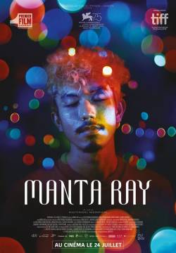 Manta Ray (2019)