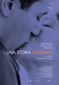 Una storia sbagliata (2015)